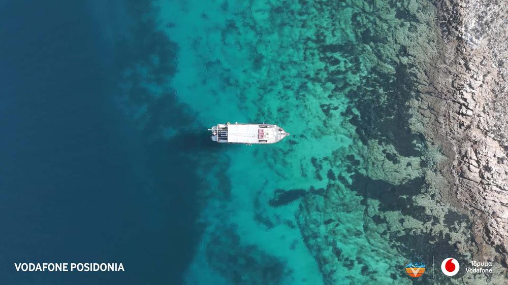 Τα λιβάδια της ελληνικής Ποσειδωνίας υπό την προστασία του Ιδρύματος Vodafone