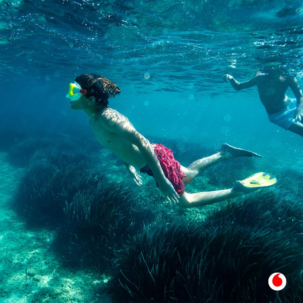 Ίδρυμα Vodafone - Νέα πλατφόρμα posidonia.vodafone.gr με εικόνες από το πρώτο υποθαλάσσιο παρατηρητήριο Ποσειδωνίας