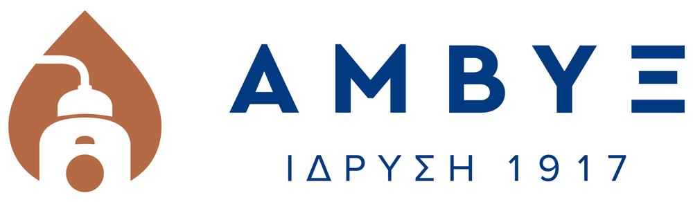 2023: Η Άμβυξ έκλεισε τη χρονιά με σημαντικές επιδόσεις