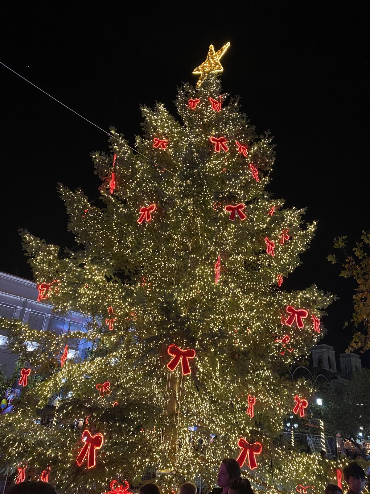 ΓΙΑ ΤΗ ΦΩΤΑΓΩΓΗΣΗ ΤΟΥ ΧΡΙΣΤΟΥΓΕΝΝΙΑΤΙΚΟΥ ΔΕΝΔΡΟΥ