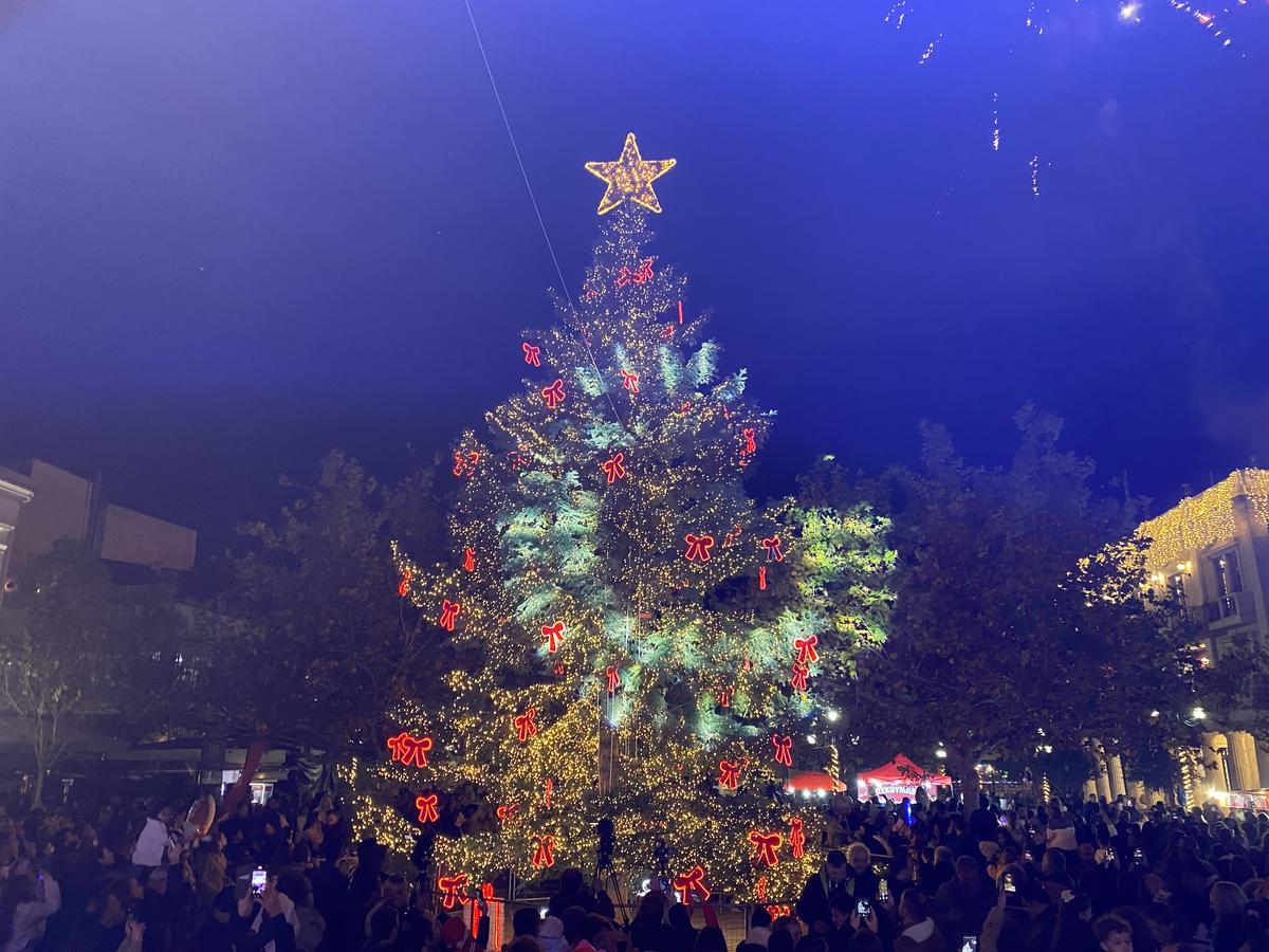 ΓΙΑ ΤΗ ΦΩΤΑΓΩΓΗΣΗ ΤΟΥ ΧΡΙΣΤΟΥΓΕΝΝΙΑΤΙΚΟΥ ΔΕΝΔΡΟΥ
