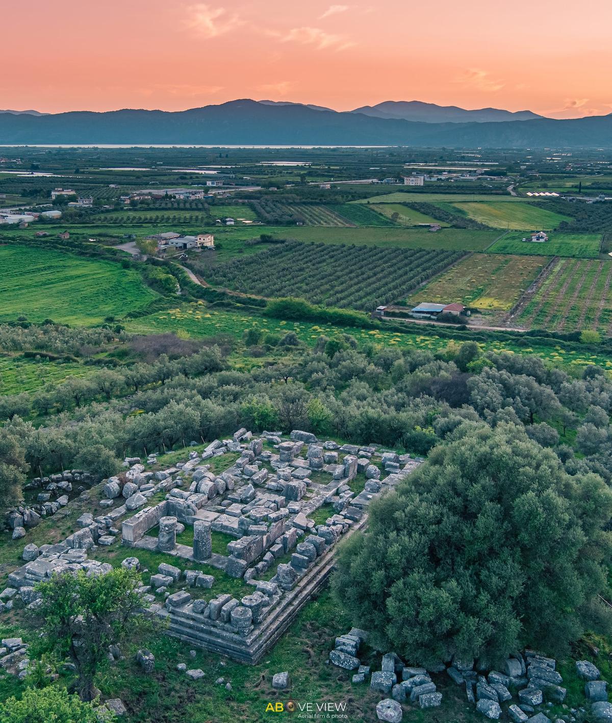 Άρθρο