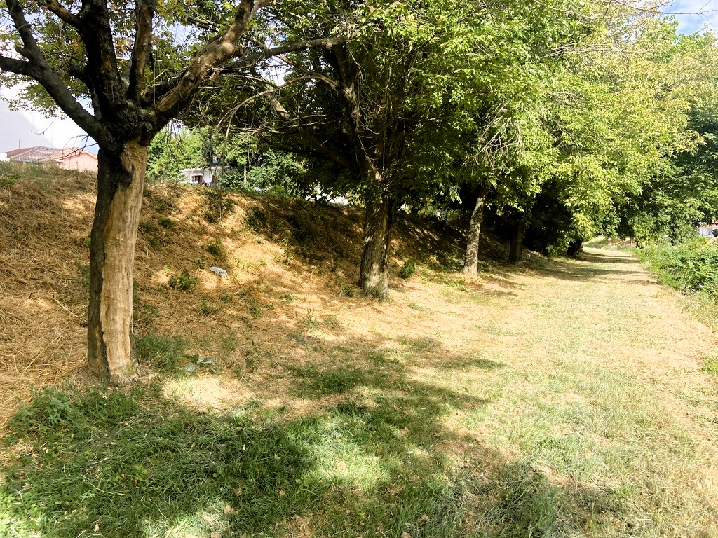 Προώθ.: ΠΡΑΣΙΝΟ ΠΛΑΤΕΙΕΣ ΛΗΘΑΙΟΣ