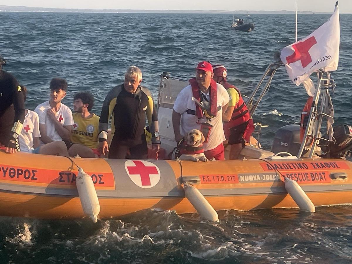 Ο Ελληνικός Ερυθρός Σταυρός εκπαιδεύει σκύλους-διασώστες για να επιχειρούν στο πλευρό των Ναυαγοσωστών στο υγρό στοιχείο