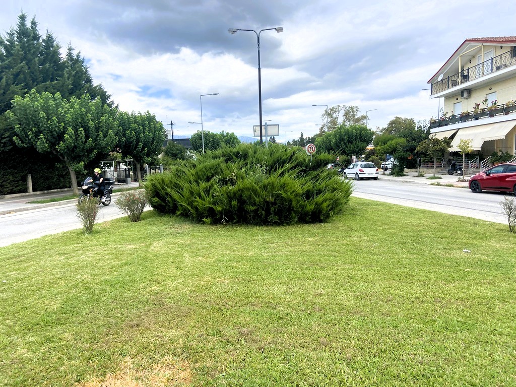 Προώθ.: ΠΡΑΣΙΝΟ ΠΛΑΤΕΙΕΣ ΛΗΘΑΙΟΣ