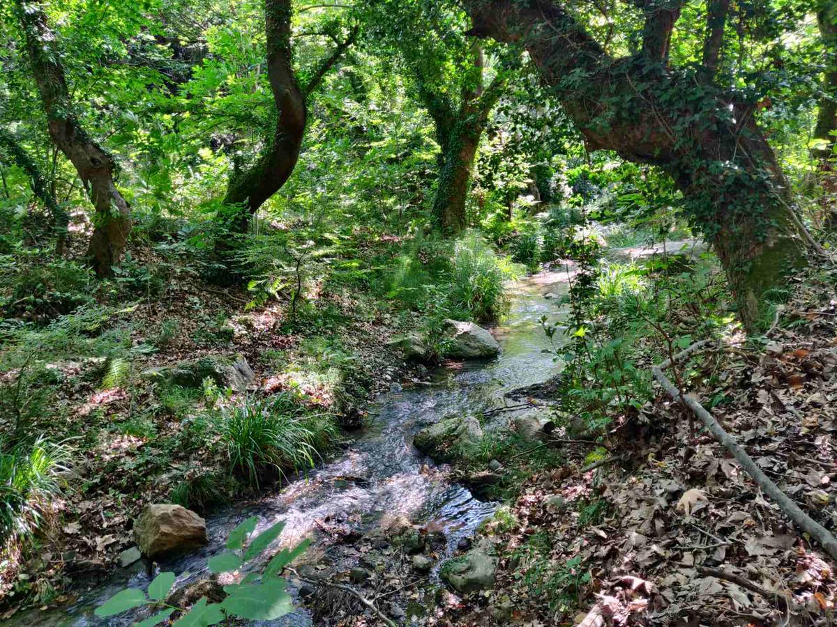 [] Πεζοπορία στη διαδρομή Μελίβοια – Σωτηρίτσα – Βελίκα πραγματοποίησε η Ο.Λ.Κ.