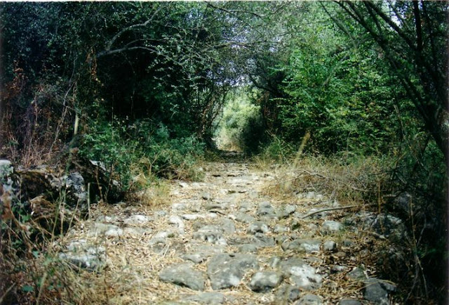 Άρθρο