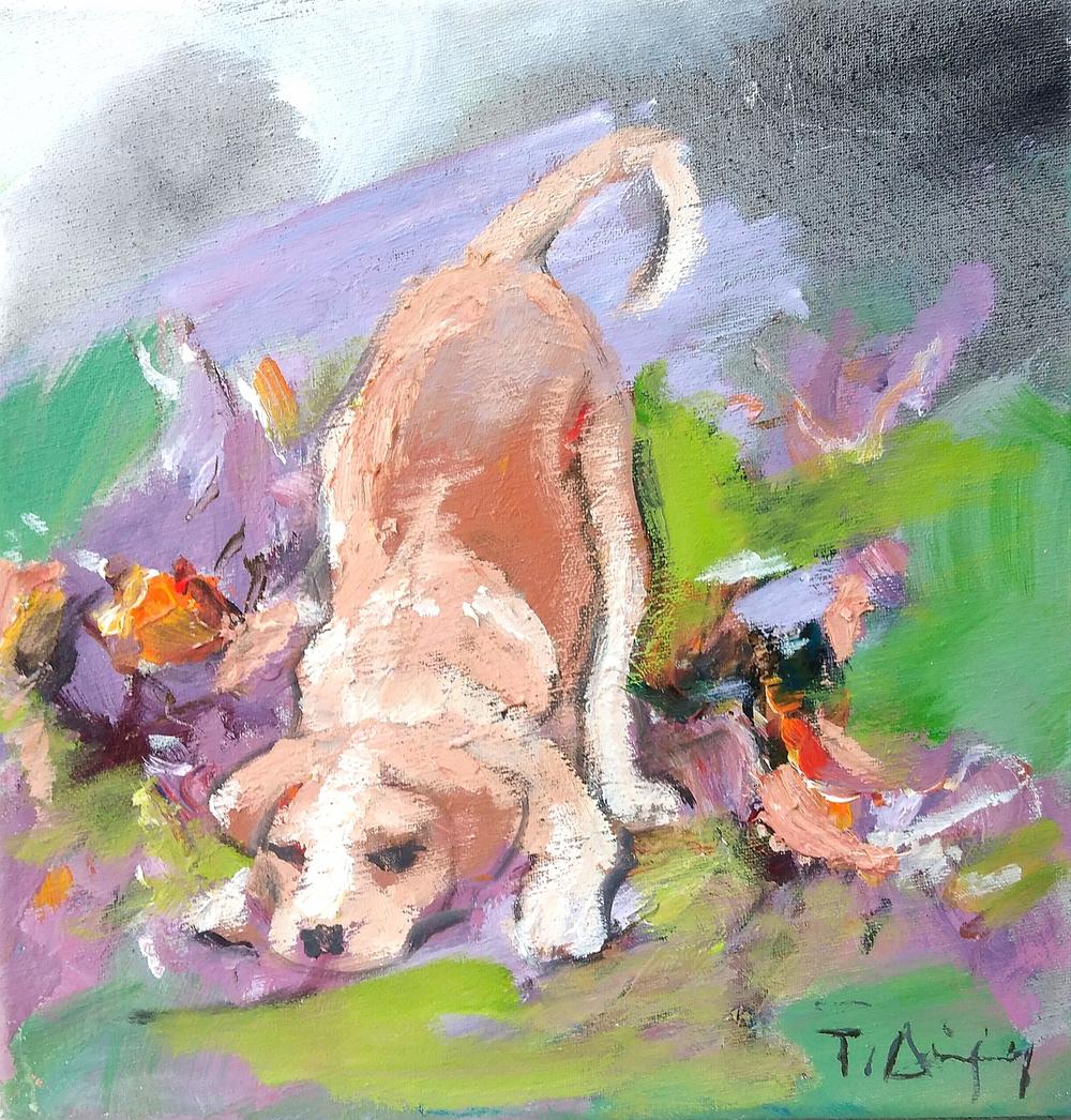 Φωτογραφία από την εικαστική έκθεση «Αθηνόγατες»