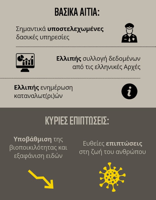 WWF: Έρευνα για το παράνομο εμπόριο άγριων ειδών στην Ελλάδα