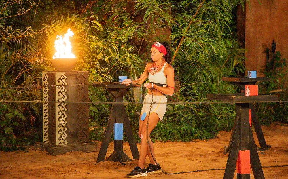 Survivor στιγμιότυπο