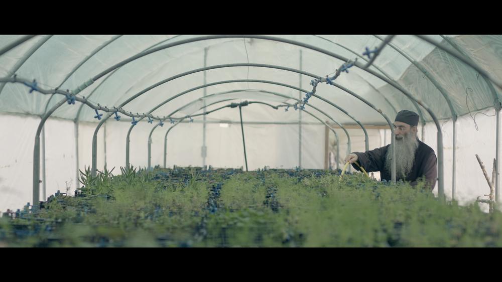 Φωτογραφία από το Άγιο Όρος 2