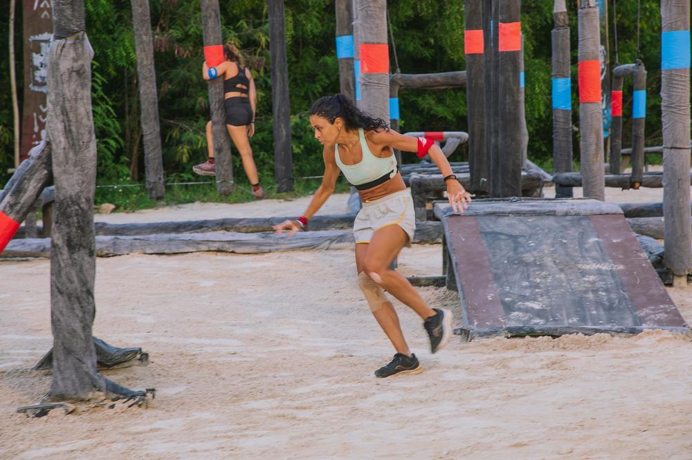 Στιγμιότυπο Survivor