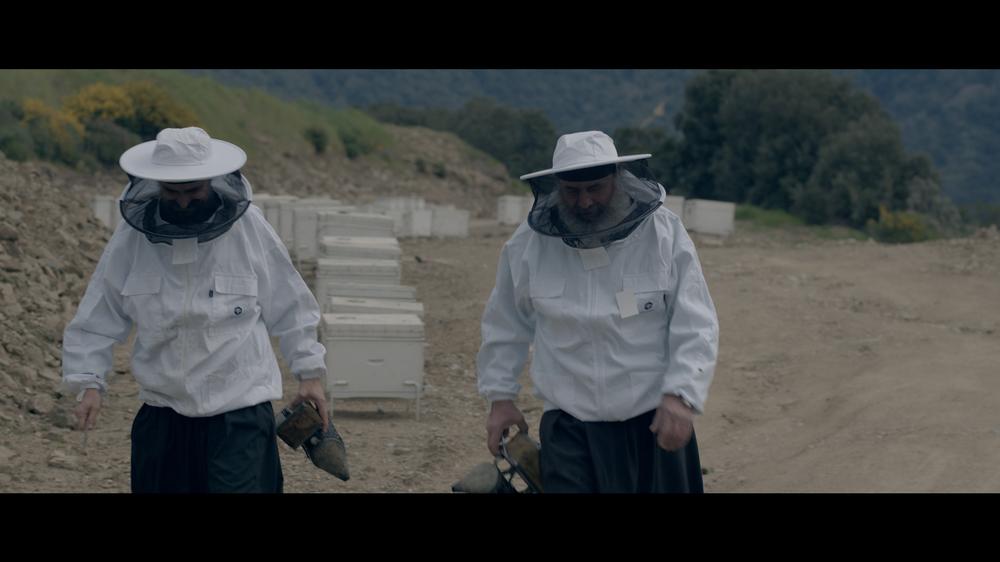 Φωτογραφία από το Άγιο Όρος 1